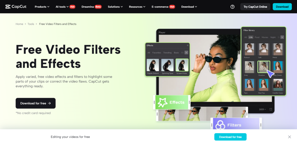 effects and filters capcut
